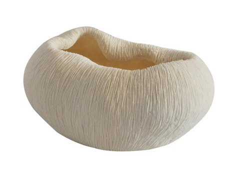 decorative scalloped coral vase